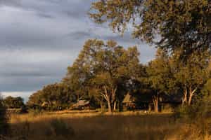 Mbamba
