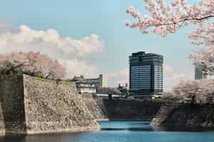 Patina Osaka 