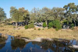Beagle Expeditions - Kweene Trails