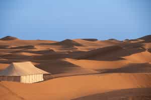 Dunes Camp