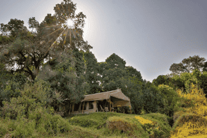 Sentinel Mara Camp