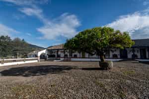 Hacienda Zuleta