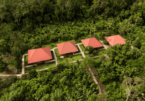 Yasuní Ecolodge 