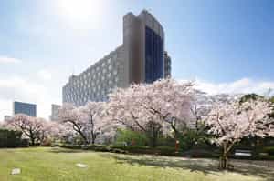 The Prince Sakura Tower