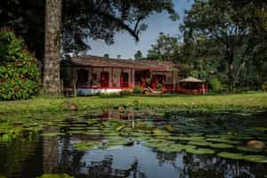 Hacienda Venecia Coffee Farm