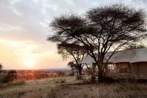 Out Of Africa by Laba Explorer