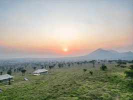 Serengeti Luxury Retreat