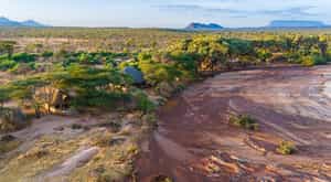 Saruni Rhino Camp