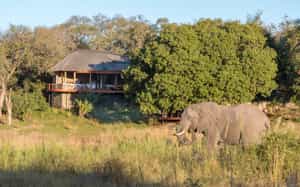 Dulini River Lodge