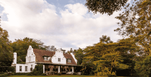 Sheba's Secret Garden