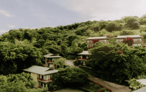Ficus Sunset Suites Hotel