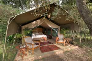Seringet Mara Camp - Nigel Archer Safaris