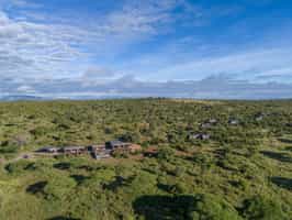 Elephant Springs
