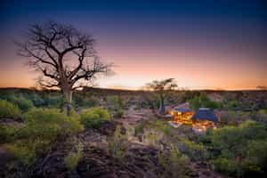 Baobab Hill Bush House