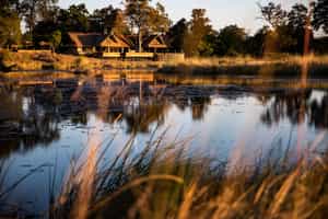 Kings Pool Camp