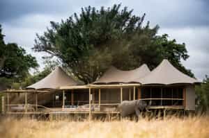 Little Mombo Camp
