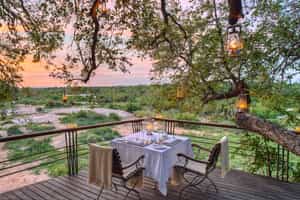 Dulini Leadwood Lodge