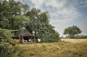 Kuyenda Bushcamp