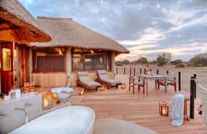 Lion Camp