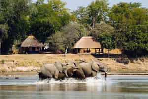 Nsefu Camp