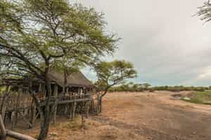 Onguma Tree Top Camp