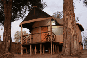 Camp Linyanti