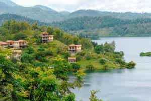 Cormoran Lodge