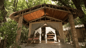 Fig Tree Camp