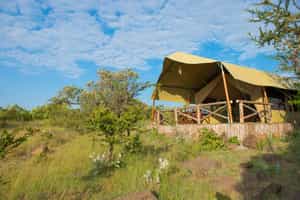 Kilima Camp