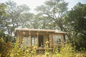 Nomad Entamanu 