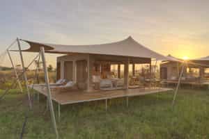 Roving Bushtops