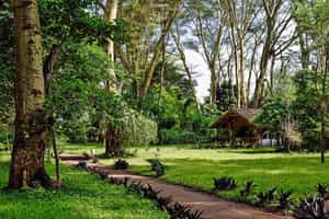 Migunga Tented Camp