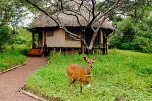 Ndarakwai Camp