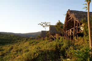 Crater Forest Tented Camp