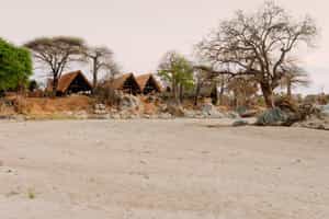 Mwagusi Safari Camp