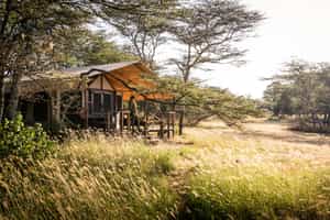 Nomad Kusini Serengeti