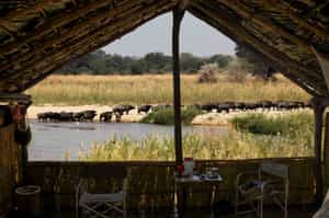 Buffalo Camp