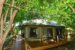 Kanga Expeditions