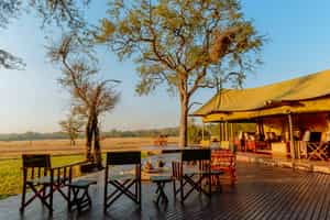 Rhino Plains Camp & Walking Safaris