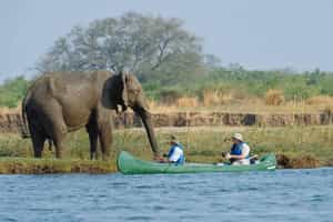 Mana Canoe Trail