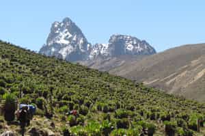 Mount Kenya Climb