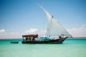 Quirimbas Mobile Dhow Safari