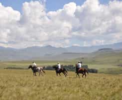 Lesotho Horseriding Trail
