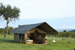 Leleshwa Mobile Camp