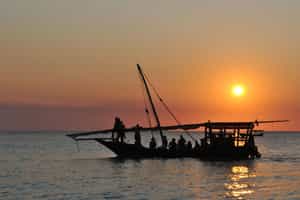 Sailaway Dhow Safaris