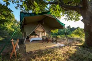 John's Camp