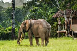 Mboko Lodge