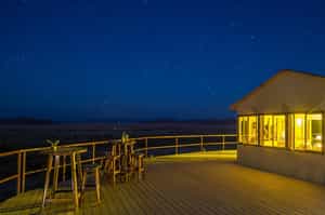 Namib Dune Star