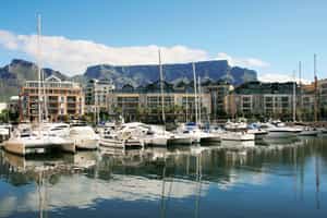 Waterfront Village Apartments