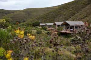 Gondwana Tented Eco Camp
